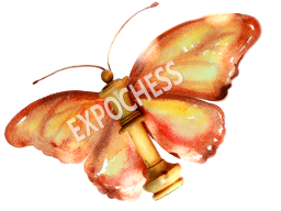 EXPOCHESS - Logo oficial